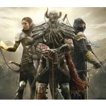 The Elder Scrolls Online – Zboží Dáma The Elder Scrolls Online – Zboží Dáma