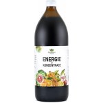 EkoMedica Czech Energie a Koncentrace 1000 ml – Hledejceny.cz
