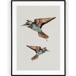 Plakát / Obraz Two Bird 50 x 70 cm Tiskové plátno Bez okraje – Hledejceny.cz