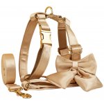 Daxie saténová venčící sada – Zbozi.Blesk.cz