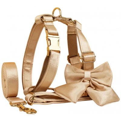 Daxie saténová venčící sada – Zbozi.Blesk.cz