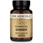 Dr.Mercola Fermented Ginger zázvor Perila Křovitá 60 kapslí – Hledejceny.cz