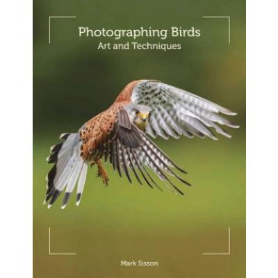 Photographing Birds