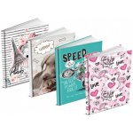 MFP paper Památník se zámkem Disney Frozen – Zboží Dáma