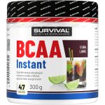 Survival BCAA Instant 300 g – Zboží Dáma