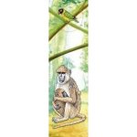 Safari Pavián - Záložka s 3D efektem – Hledejceny.cz
