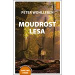 Moudrost lesa - Peter Wohlleben – Hledejceny.cz