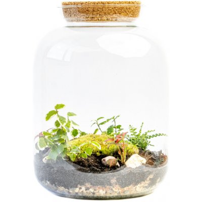 Gardners Skleněná dóza Kerria s korkovým špuntem, 31,5x25 cm - osázené vlhkomilně – Hledejceny.cz