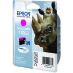 Epson C13T100340 - originální – Zboží Živě