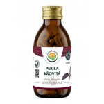 Salvia Paradise Perila křovitá kapsle 120 ks – Hledejceny.cz
