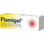 Flamigel Flamigel gel urychlující hojení 50 g – Hledejceny.cz