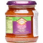 Patak’s Sladké mangové čatní 340 g – Hledejceny.cz