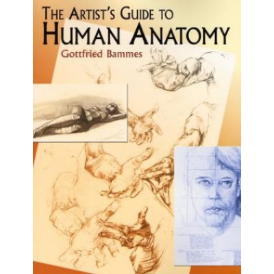 The Artist's Guide to Human Anatomy - G. Bammes
