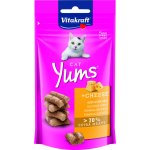 Vitakraft Cat Yums Sýr 40 g – Hledejceny.cz
