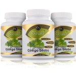 Golden Nature 2+1 Ginkgo Biloba extrakt 50:1 60 mg 300 kapslí – Hledejceny.cz