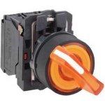 Schneider Electric XB5AK125B5 – Hledejceny.cz