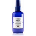 ESLA ITALY Repair Prestige regenerační péče pro poškozené vlasy 150 ml – Hledejceny.cz