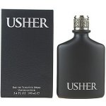 Usher He toaletní voda pánská 100 ml – Hledejceny.cz