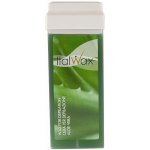 Italwax vosk tělový Aloe Vera 100 ml – Zboží Dáma