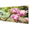 Obraz akrylový obraz magnolie strom 100x50 cm