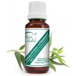 Karel Hadek Eukalyptovo-Citronový Éterický olej 10 ml – Hledejceny.cz