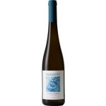 Prameny Riesling Polešovice 2023 12% 0,75 l (holá láhev) – Hledejceny.cz