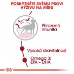 Royal Canin Medium Adult 10 kg – Zboží Mobilmania