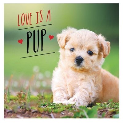 Love is a Pup