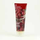 Desert Essence Conditioner pro všechny typy vlasů Maliny 236 ml