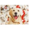 Autovýbava Record vánoční plastová podložka pod misky 42 x 30 cm pro psy labrador