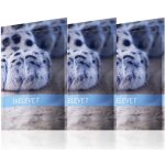 Energy Skelevet 3set 405ccps – Hledejceny.cz