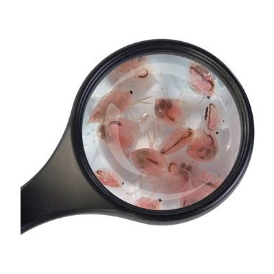 ATK Dafnie živá 90 ml – Hledejceny.cz