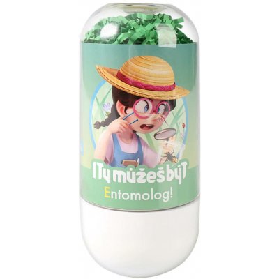 ALBI I Ty můžeš být Umělec kreativní set zdobení kamínků povolání – Hledejceny.cz