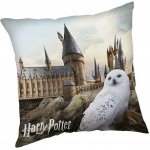 Jerry Fabrics polštář Harry Potter Hedwig 02 40x40 – Sleviste.cz