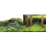 Macenauer fototapeta 4S 60 x 30 cm – Zboží Dáma