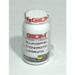 Giom Chondro L-karnitin 200 g – Hledejceny.cz
