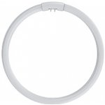 NBB Trubice zářivková 32W/827 T5 kruhová patice G10q teplá bílá typ LC – Hledejceny.cz