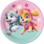 PROCOS TALÍŘ PAPÍROVÝ PAW PATROL 23 CM – Zbozi.Blesk.cz