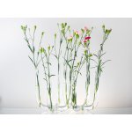 DT GLASS Sada váz - květinová zahrada 3 – Zboží Dáma