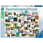 Ravensburger Koláž vtipných zvířat 1500 dílků – Hledejceny.cz