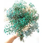 Nevěstin závoj/stabilizovaná Gypsophila svazek/kytice světle modrá/tyrkysová/bílá 160g – Zboží Dáma
