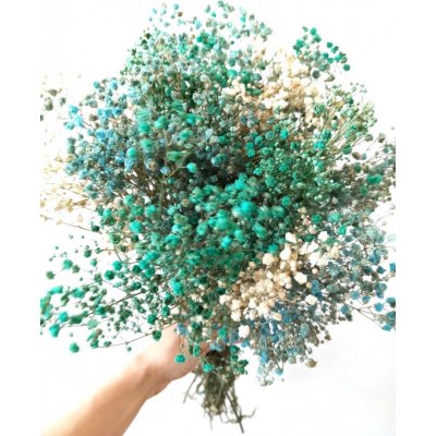 Nevěstin závoj/stabilizovaná Gypsophila svazek/kytice světle modrá/tyrkysová/bílá 160g – Zboží Dáma