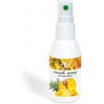 Hristina přírodní osvěžovač dechu ANANAS 50 ML – Zbozi.Blesk.cz