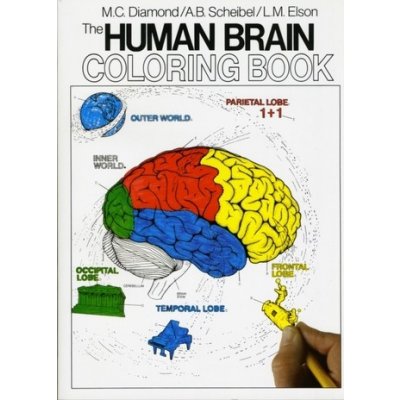 The Human Brain - M. Diamond, L. Elson, A. Scheibel