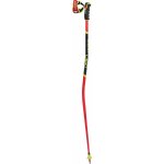 Leki WCR GS 3D 2024/25 – Zboží Dáma