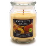Candle-Lite Tropical Fruit Medley 510,2 g – Hledejceny.cz