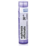 EUPHRASIA OFFICINALIS POR 30CH GRA 1X4G – Hledejceny.cz