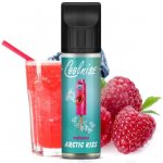 Vitastyle Malinový ARCTIC KISS CoolniSE Shake & Vape 15 ml – Zboží Dáma