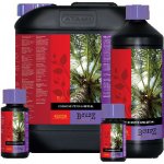 Atami B´cuzz Booster Coco Indi 1 L – Hledejceny.cz