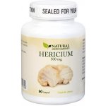 Natural Medicaments Hericium 500 mg 90 kapslí – Hledejceny.cz